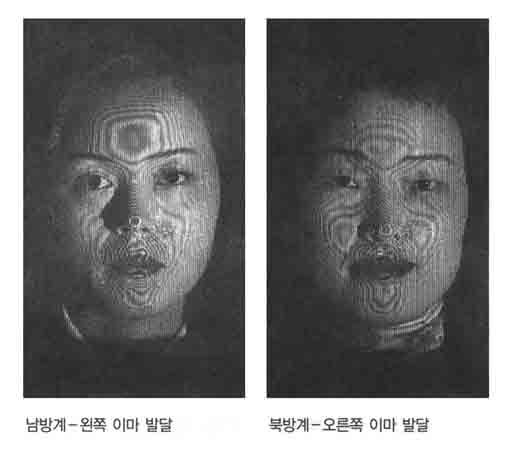 한국인의 얼굴 (북방계와 남방계) | 인스티즈