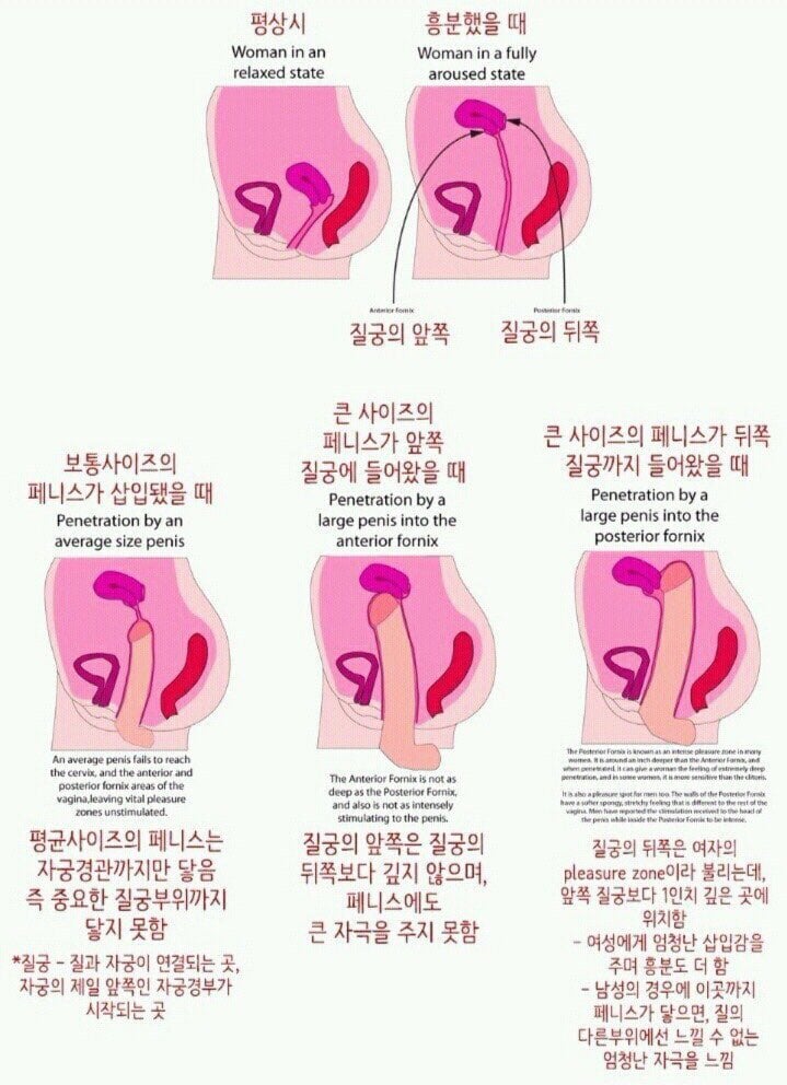 ㅈㅈ가 커야하는 이유 | 인스티즈