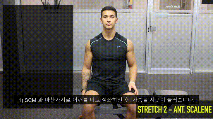 거북목을 고쳐봅시다 - 2탄 (0. 거북목과 이중턱 1.턱 운동에 대해 2.턱운동 해보기) - 데이터 스압주의 | 인스티즈