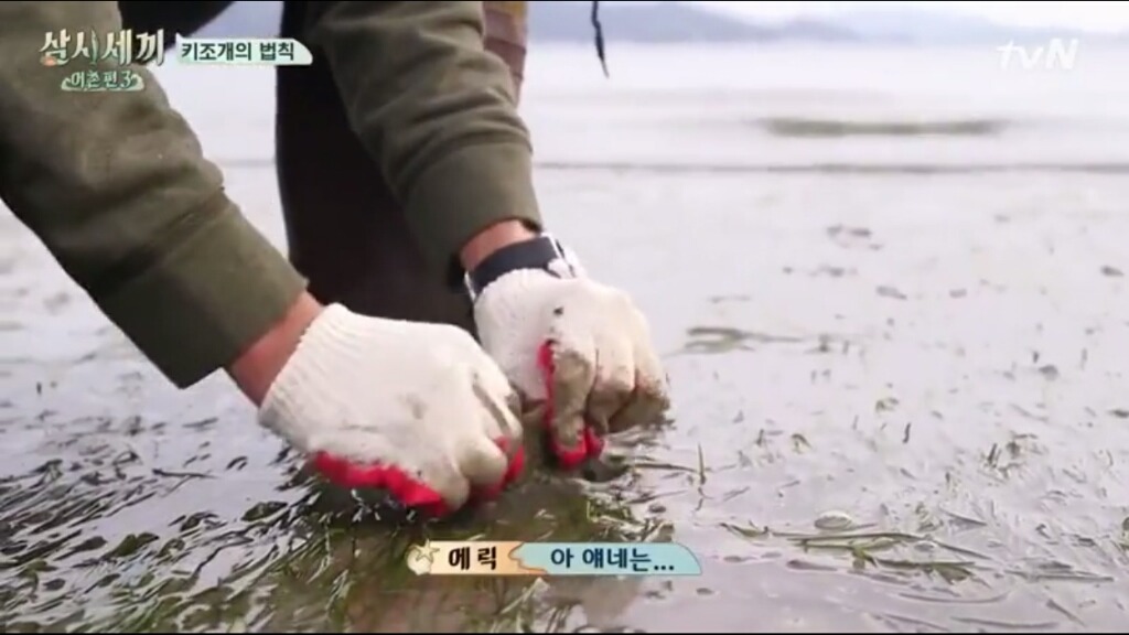 [삼시세끼] 에릭이 말하는 어이없는 키조개의 법칙ㅋㅋㅋㅋㅋㅋㅋㅋㅋ | 인스티즈