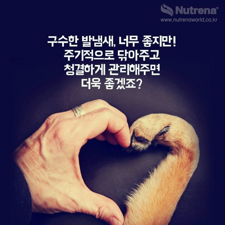 강아지 발바닥 꼬순내를 아시나요?? | 인스티즈