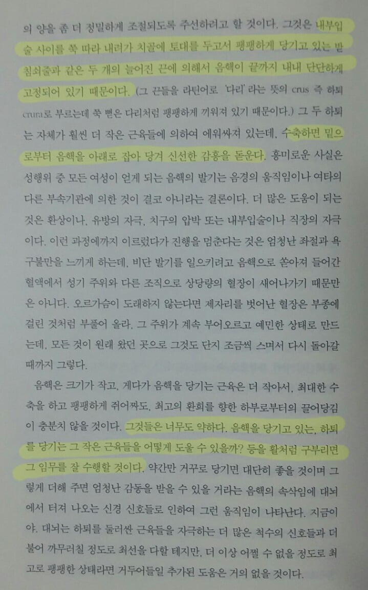 왜 그녀의 허리는 활처럼 휘는가 (성적 쾌감의 원리) | 인스티즈