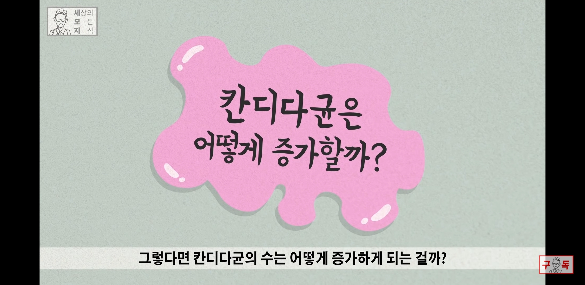 칸디다균의 원리 😠😡🤬 | 인스티즈