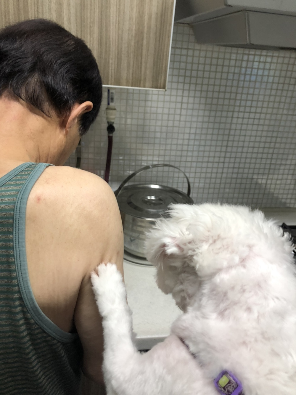  후기방에 올라와 귀여움 받은 '식탐 많은 댕댕이' 글 | 인스티즈