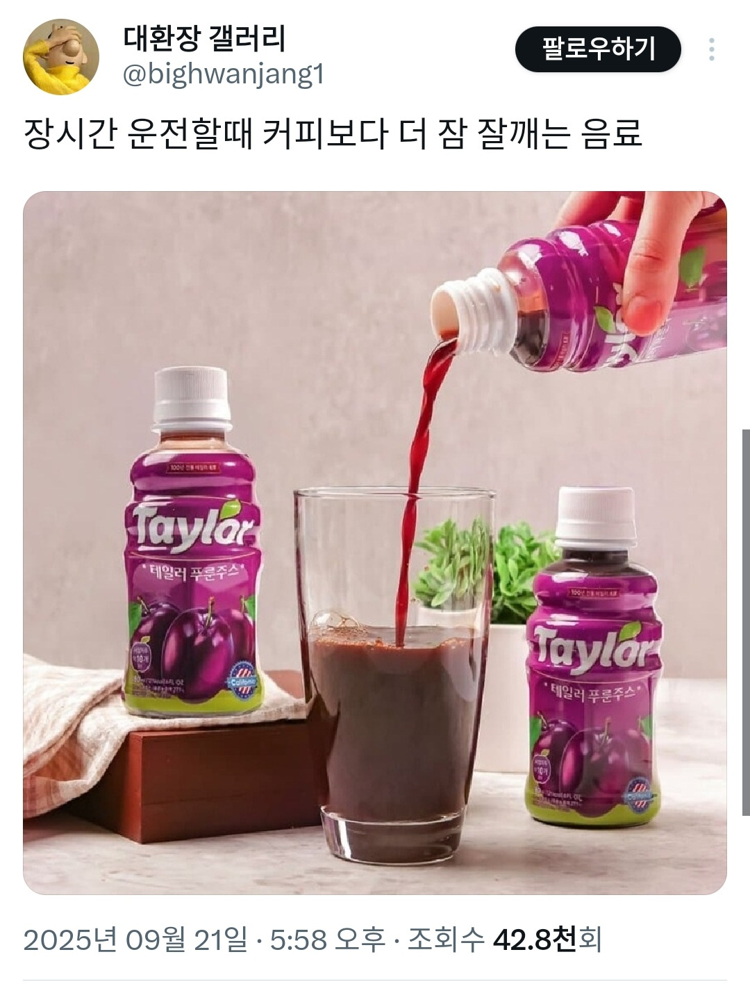 장시간 운전할 때 커피보다 더 잠 잘깨는 음료 | 인스티즈