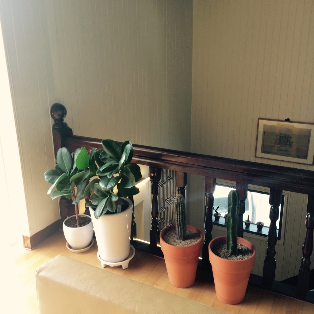 Part.1 분위기 좋은 카페 모음 홍대/합정/상수/망원 | 인스티즈