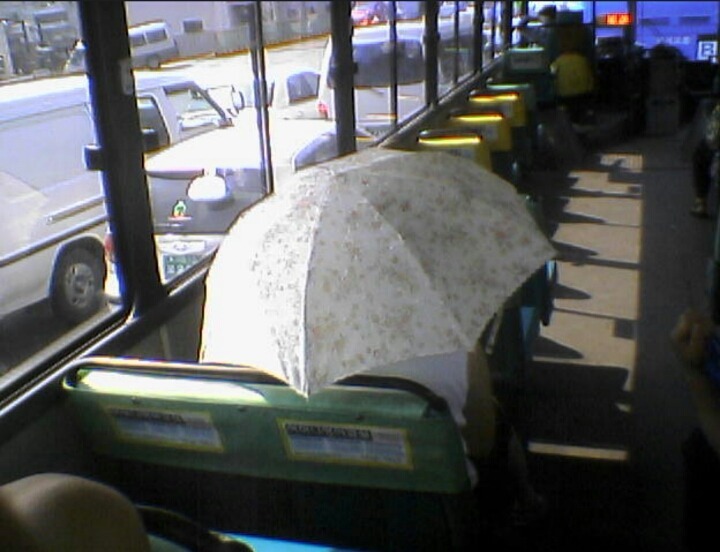 개나 고양이나 사람이나... | 인스티즈