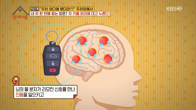 주차장에서 내 차 못 찾을 때 꿀팁 | 인스티즈