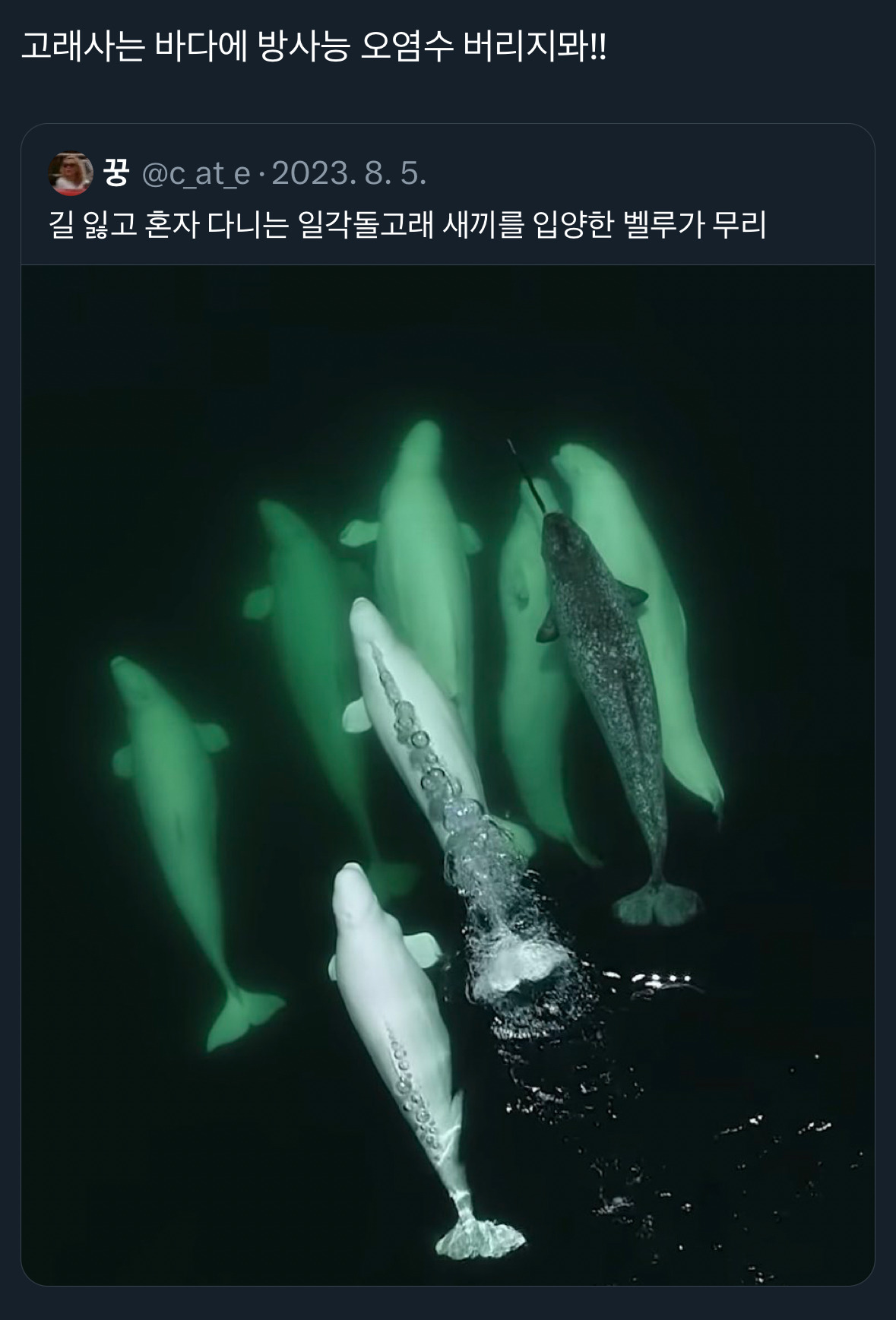 날씨좋~은 때에 보는 트위터 모음🍁 | 인스티즈