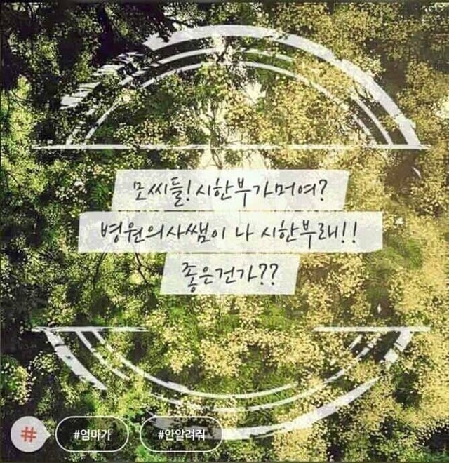 모씨 대환장쇼 모음(손발 너프주의) | 인스티즈