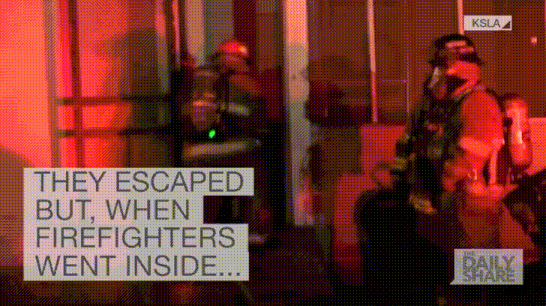 화재시 창문을깨거나 문을열면 안되는이유 | 인스티즈