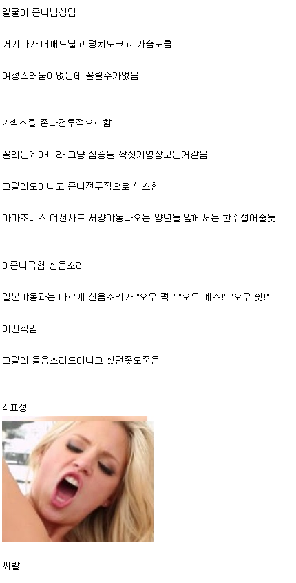 서양 야동이 안꼴리는 이유 | 인스티즈