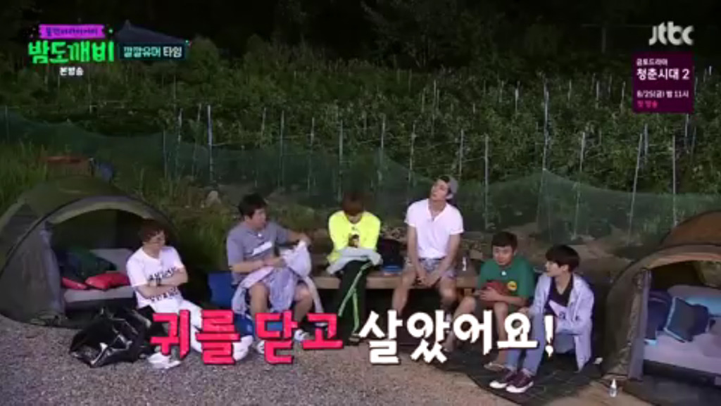 [밤도깨비] 새벽 한시에 아무말 대잔치 벌이는 밤도깨비들 | 인스티즈
