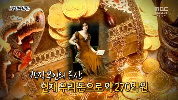  1년만 하면 270억 받는거 도전 한다vs안한다 | 인스티즈