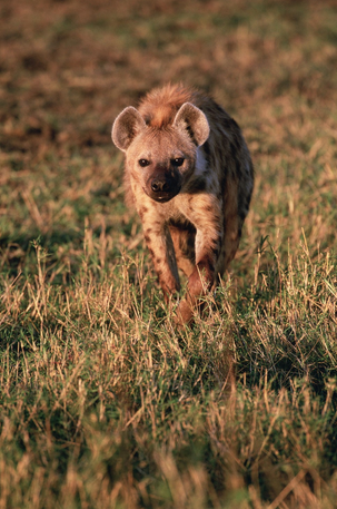 배우 빠수니들은 어떻게 짱덕질하는지 내가 자기소개 해드림 | 인스티즈