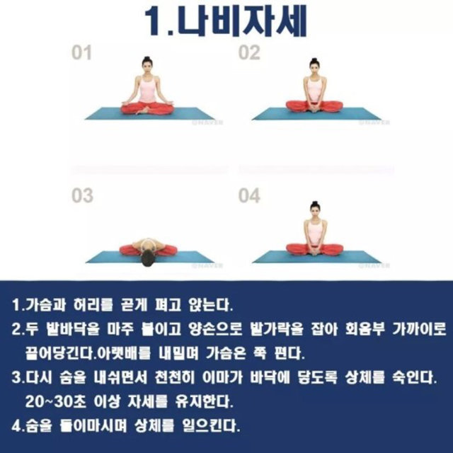 골반 넓어지는 방법 | 인스티즈