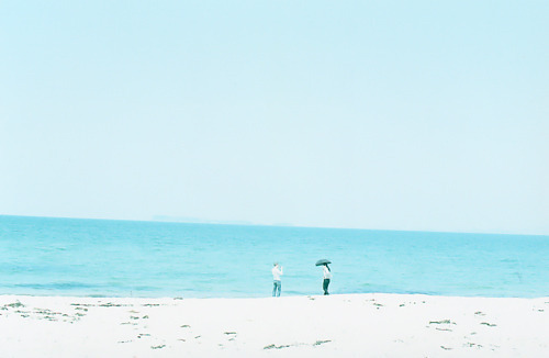  따뜻한 분위기의 일본의 봄 vs 시원하고 청량감있는 일본의 여름 | 인스티즈