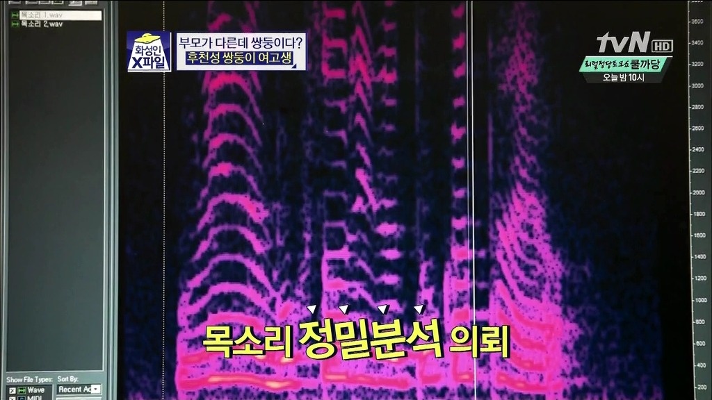 [화성인X파일] 후천성 쌍둥이 여고생 | 인스티즈