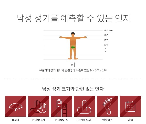 남성성기 크기를 유일하게 예측할 수 있는 기준 | 인스티즈