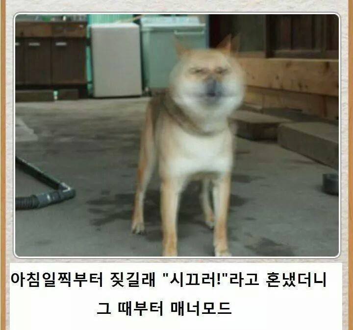 제목학원 레전드 모음.jpg ㅋㅋㅋㅋㅋㅋㅋㅋㅋㅋㅋㅋㅋㅋㅋ | 인스티즈