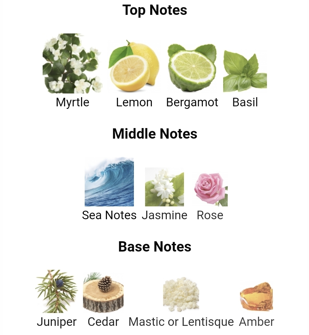 비누향으로 유명한 향수들.jpg | 인스티즈