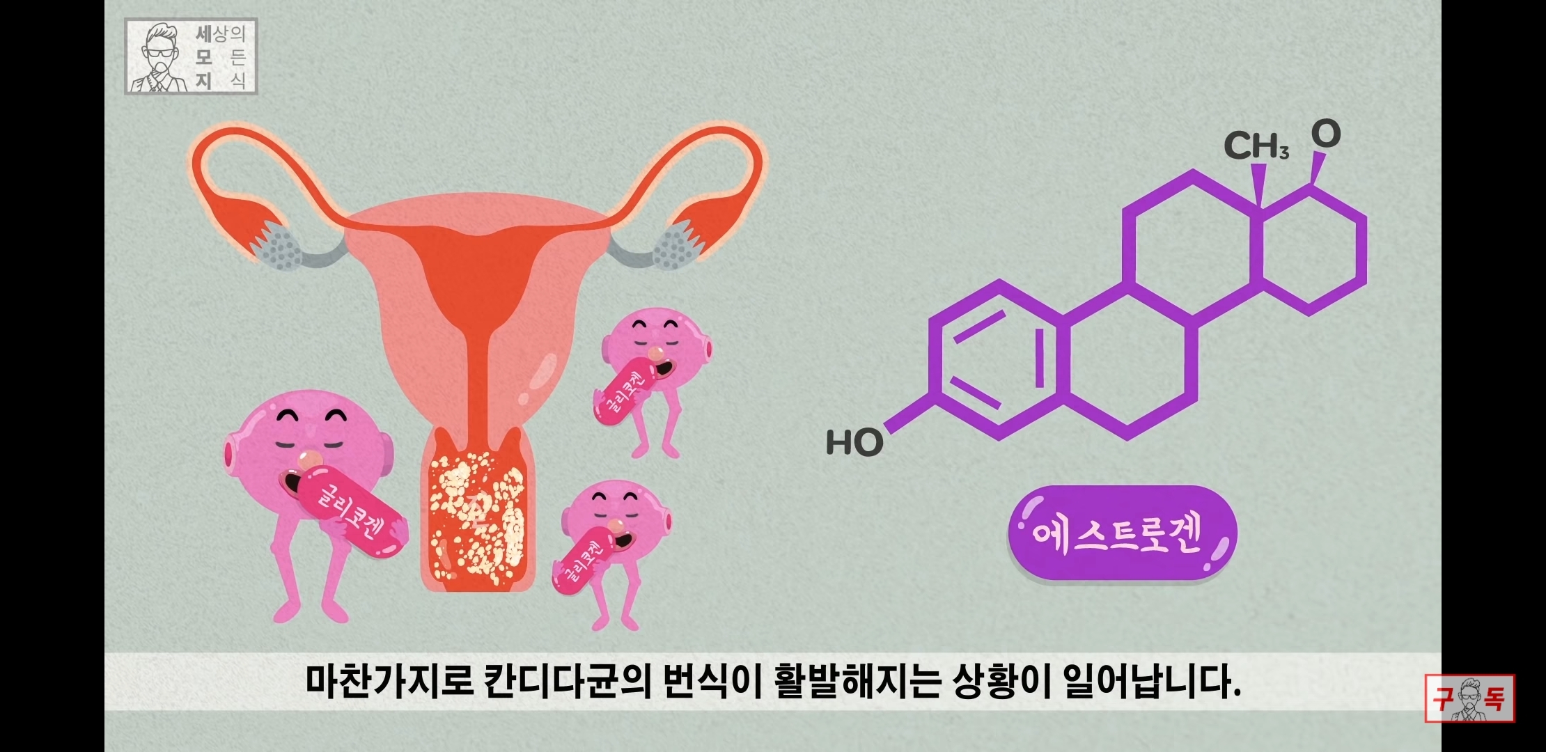 칸디다균의 원리 😠😡🤬 | 인스티즈