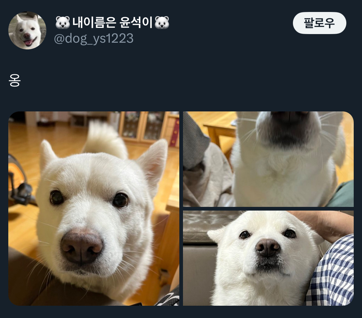 날씨좋~은 때에 보는 트위터 모음🍁 | 인스티즈