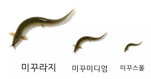 아무말 대잔치 모음 3탄이왔읍니다... | 인스티즈