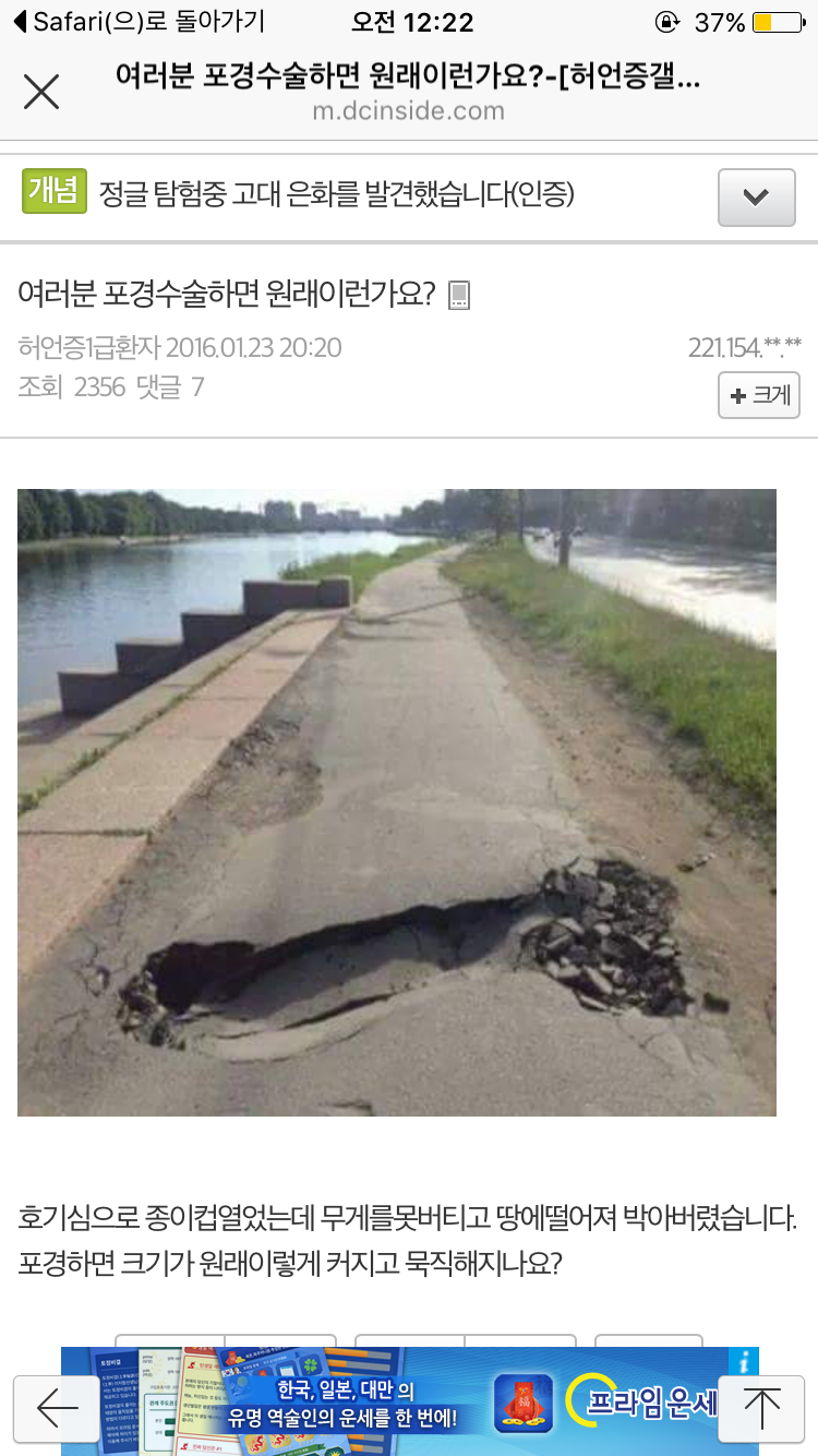 허언증갤 최자 | 인스티즈