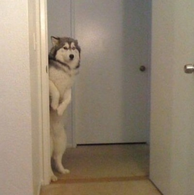 디자인이 독특한 시계 nomea | 인스티즈