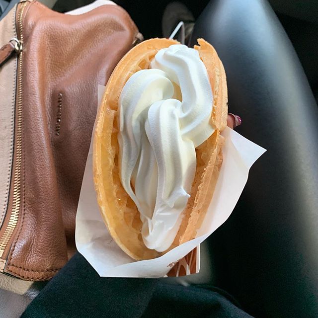 걸그룹은 사실상 취미로 하고 있는 금수저 아이돌.jpg | 인스티즈