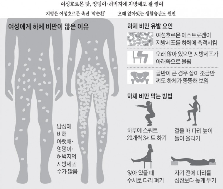 여자들이 하체비만이 많은 이유 | 인스티즈