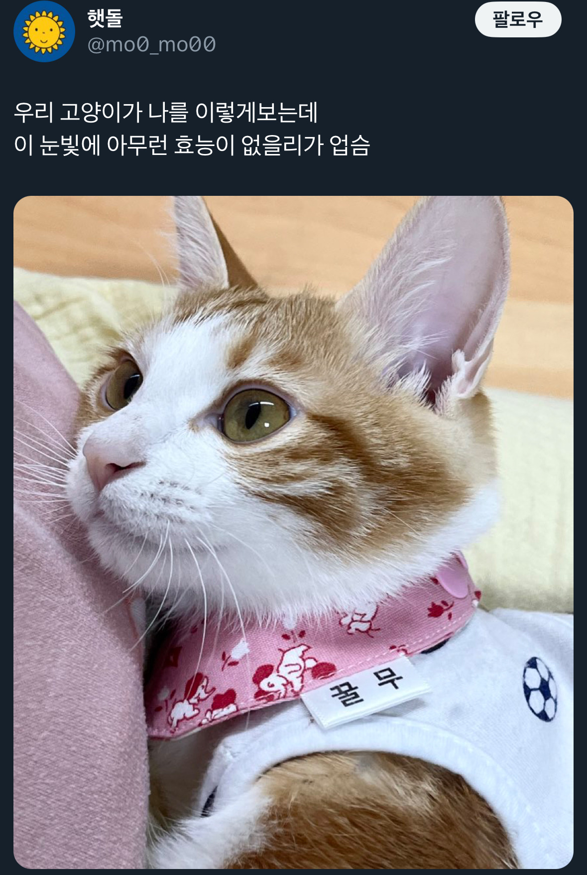 날씨좋~은 때에 보는 트위터 모음🍁 | 인스티즈