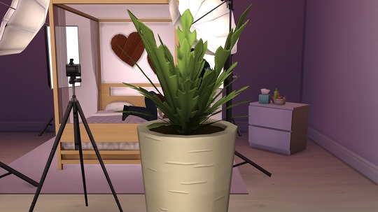 심즈4 리얼 사랑 나누기 모드 | 인스티즈