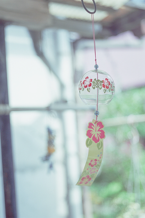  따뜻한 분위기의 일본의 봄 vs 시원하고 청량감있는 일본의 여름 | 인스티즈