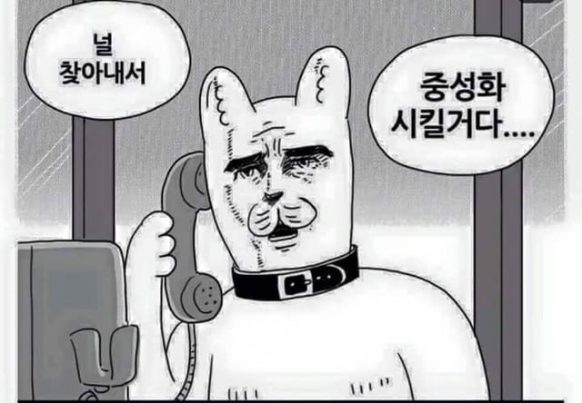 모씨 대환장쇼 모음(손발 너프주의) | 인스티즈