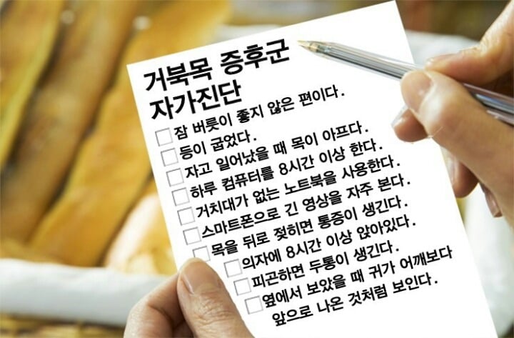 자세교정 뽐뿌오게 만드는 여자아이돌 3명 | 인스티즈