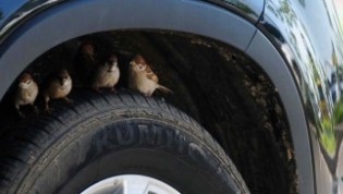 개나 고양이나 사람이나... | 인스티즈