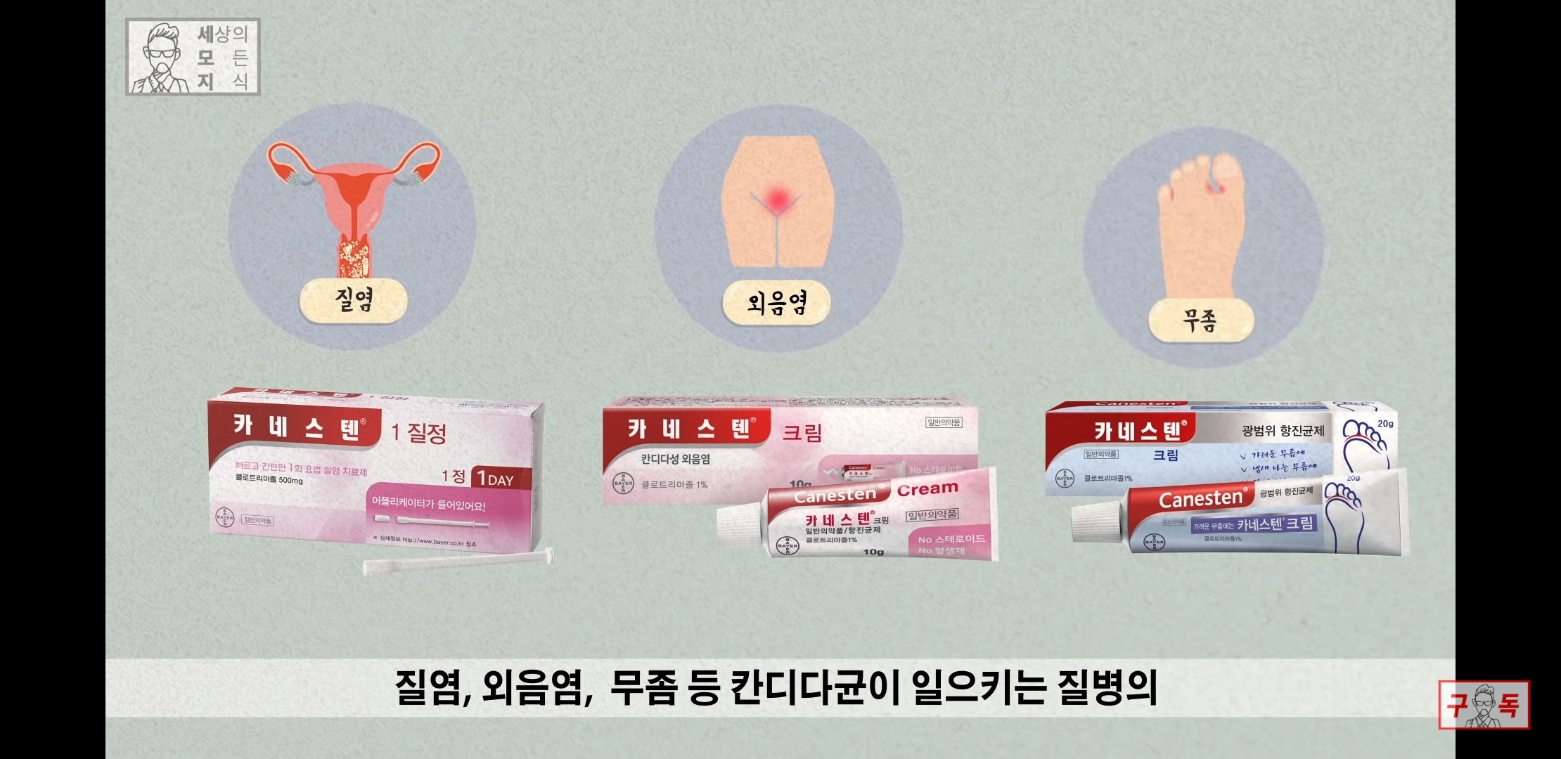 칸디다균의 원리 😠😡🤬 | 인스티즈