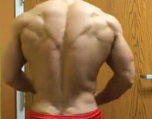 100일 완성 등근육이라는데... | 인스티즈