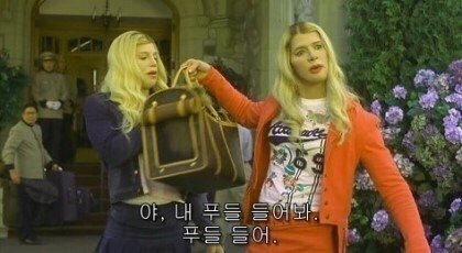 푸들유전자 완전강력! (말티푸,코카푸,골든두들,푸숑+말티츄,몰키) | 인스티즈