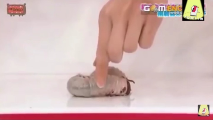 [프듀48] 일본 멤버들이 히든박스를 잘 못하는 이유.jpg | 인스티즈