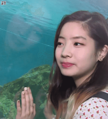 트와이스 다현 개인기.. | 인스티즈