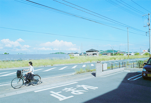  따뜻한 분위기의 일본의 봄 vs 시원하고 청량감있는 일본의 여름 | 인스티즈