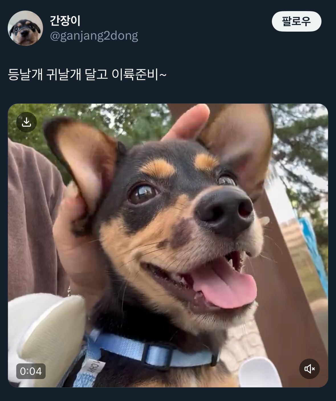 날씨좋~은 때에 보는 트위터 모음🍁 | 인스티즈