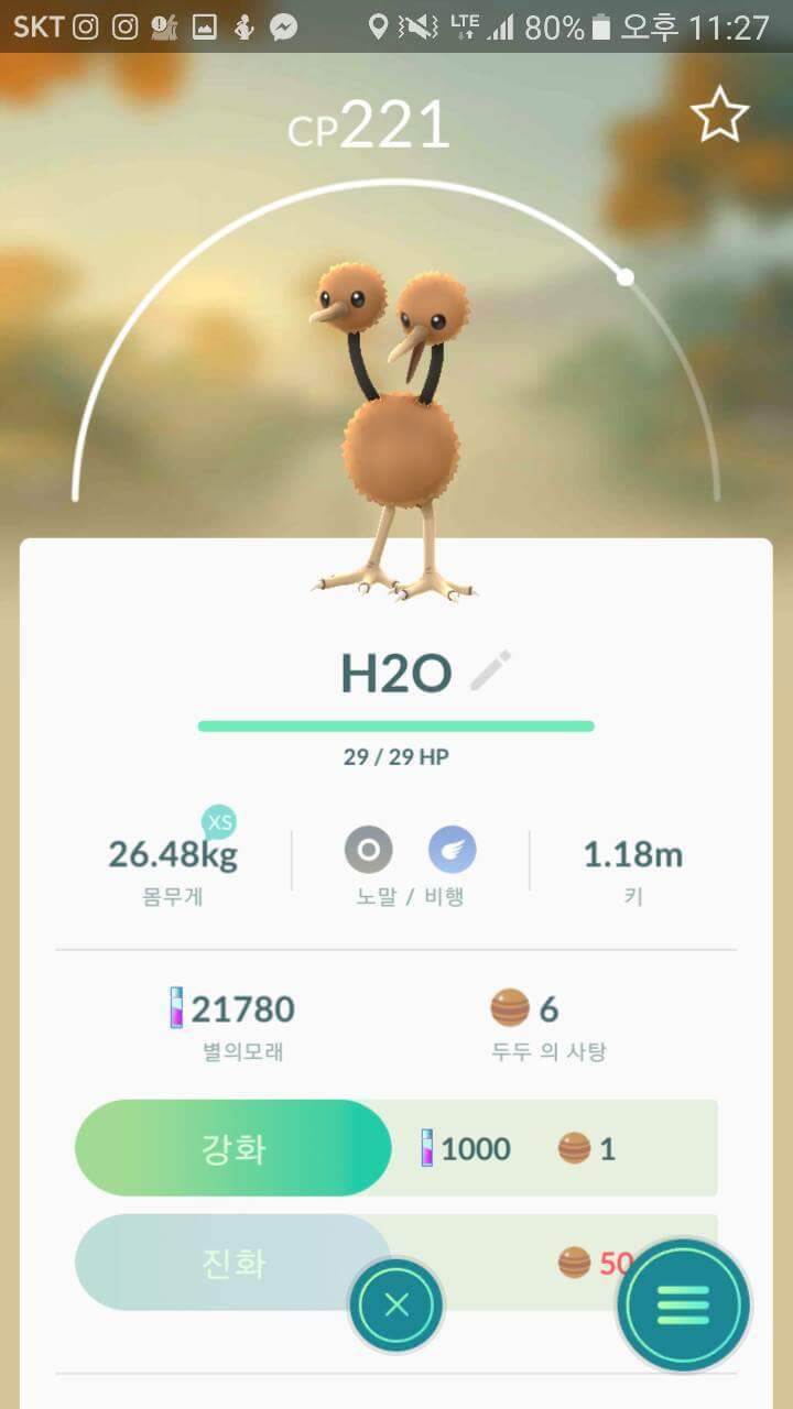 포켓몬고 흔한 포켓몬들의 작명 | 인스티즈