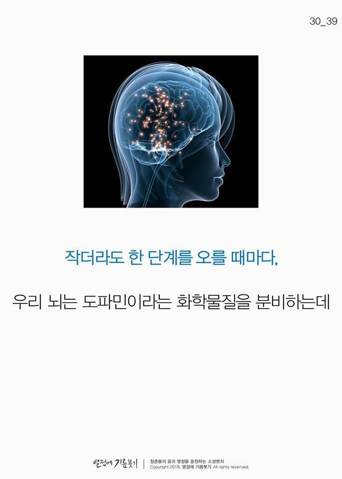 야식을 끊는 가장 과학적인 방법 | 인스티즈