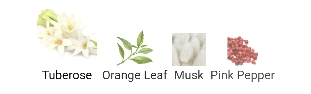 비누향으로 유명한 향수들.jpg | 인스티즈