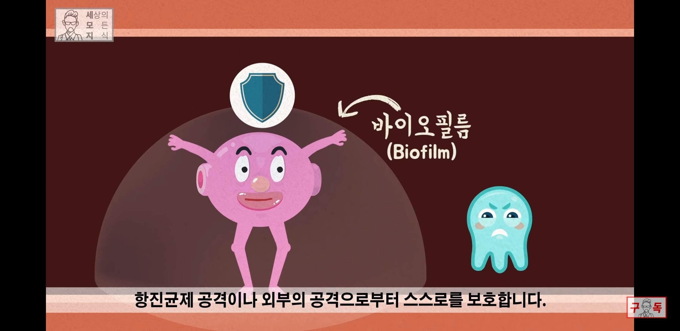 칸디다균의 원리 😠😡🤬 | 인스티즈