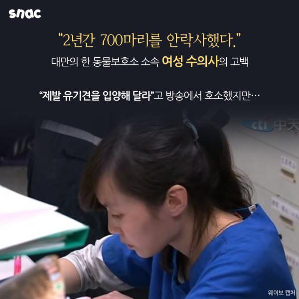 자기 팔에 안락사 주사를 놓은 수의사의 고백 | 인스티즈